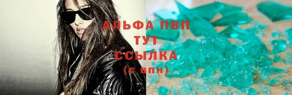 шишки Кодинск