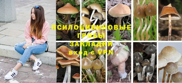 хмурый Козельск