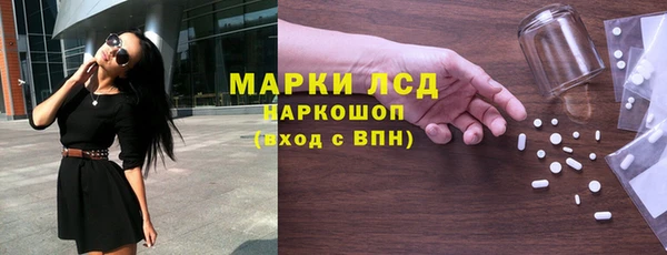 шишки Кодинск