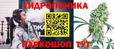 apvp Ипатово